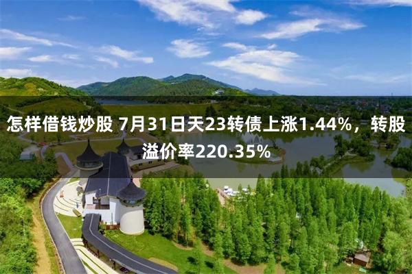 怎样借钱炒股 7月31日天23转债上涨1.44%，转股溢价率220.35%