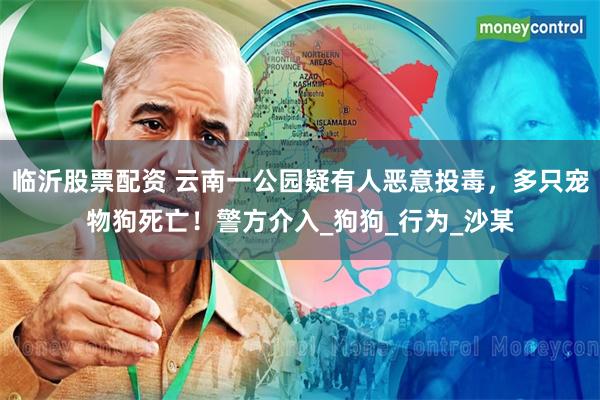 临沂股票配资 云南一公园疑有人恶意投毒，多只宠物狗死亡！警方介入_狗狗_行为_沙某