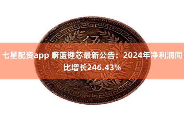 七星配资app 蔚蓝锂芯最新公告：2024年净利润同比增长246.43%