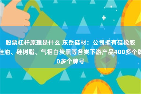 股票杠杆原理是什么 东岳硅材：公司拥有硅橡胶、硅油、硅树脂、气相白炭黑等各类下游产品400多个牌号