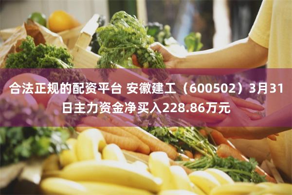 合法正规的配资平台 安徽建工（600502）3月31日主力资金净买入228.86万元
