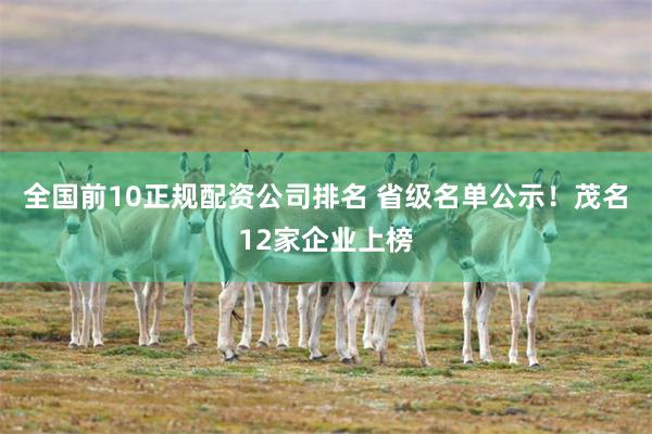 全国前10正规配资公司排名 省级名单公示！茂名12家企业上榜