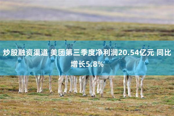 炒股融资渠道 美团第三季度净利润20.54亿元 同比增长5.8%