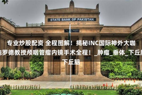 专业炒股配资 全程图解！揭秘INC国际神外大咖施罗德教授颅咽管瘤内镜手术全程！_肿瘤_垂体_下丘脑