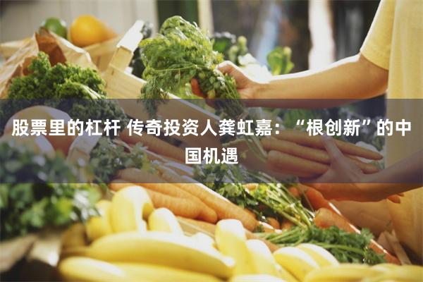 股票里的杠杆 传奇投资人龚虹嘉：“根创新”的中国机遇