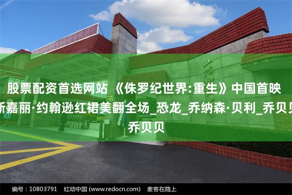 股票配资首选网站 《侏罗纪世界:重生》中国首映 斯嘉丽·约翰逊红裙美翻全场_恐龙_乔纳森·贝利_乔贝贝