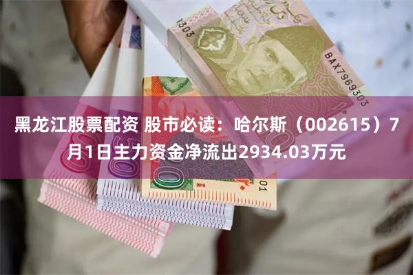 黑龙江股票配资 股市必读：哈尔斯（002615）7月1日主力资金净流出2934.03万元