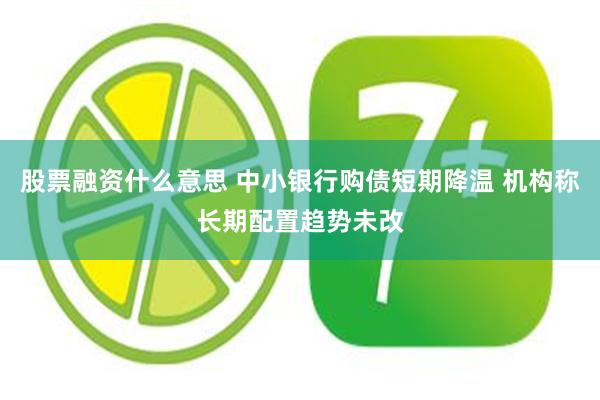 股票融资什么意思 中小银行购债短期降温 机构称长期配置趋势未改