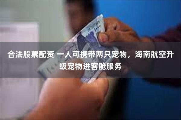 合法股票配资 一人可携带两只宠物，海南航空升级宠物进客舱服务