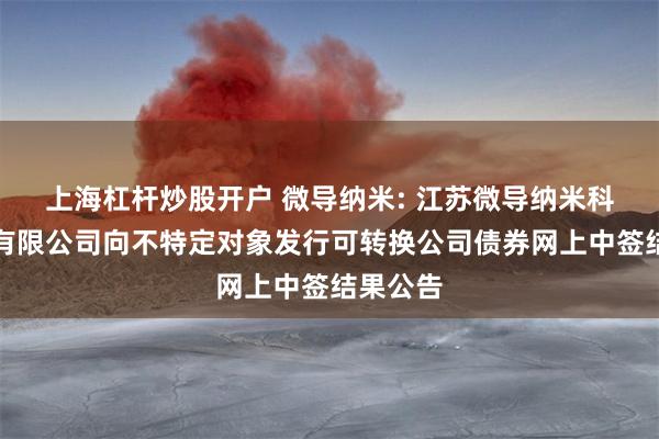 上海杠杆炒股开户 微导纳米: 江苏微导纳米科技股份有限公司向不特定对象发行可转换公司债券网上中签结果公告