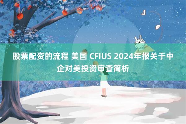 股票配资的流程 美国 CFIUS 2024年报关于中企对美投资审查简析