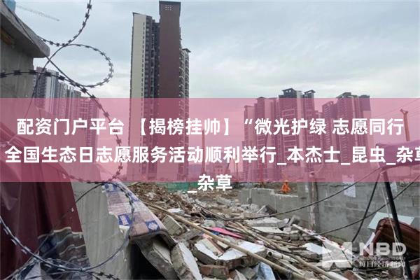 配资门户平台 【揭榜挂帅】“微光护绿 志愿同行”全国生态日志愿服务活动顺利举行_本杰士_昆虫_杂草