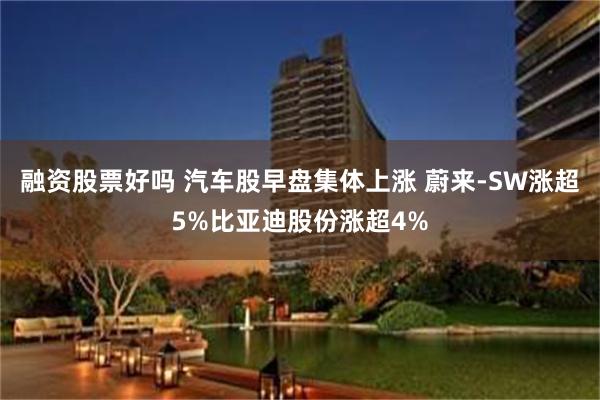 融资股票好吗 汽车股早盘集体上涨 蔚来-SW涨超5%比亚迪股份涨超4%