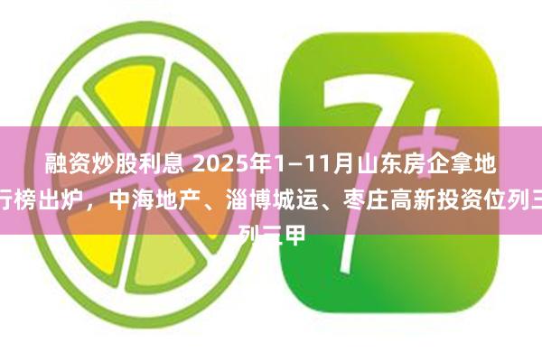 融资炒股利息 2025年1—11月山东房企拿地排行榜出炉，中海地产、淄博城运、枣庄高新投资位列三甲